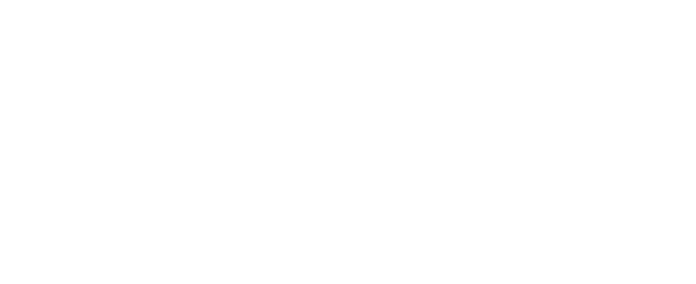 Elephant Fest